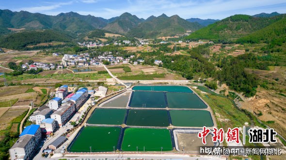 湖北十堰郧阳区美丽乡村房子照片,湖北十堰市郧阳区美丽乡村