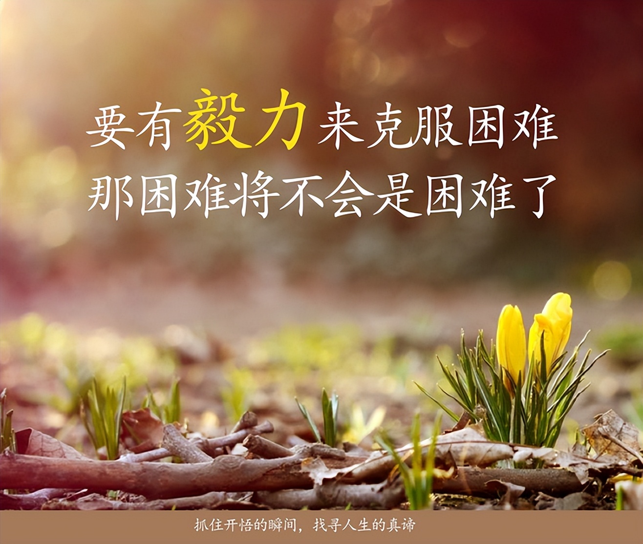 16岁少女突然晕倒,18岁少女意外晕倒有超前记忆