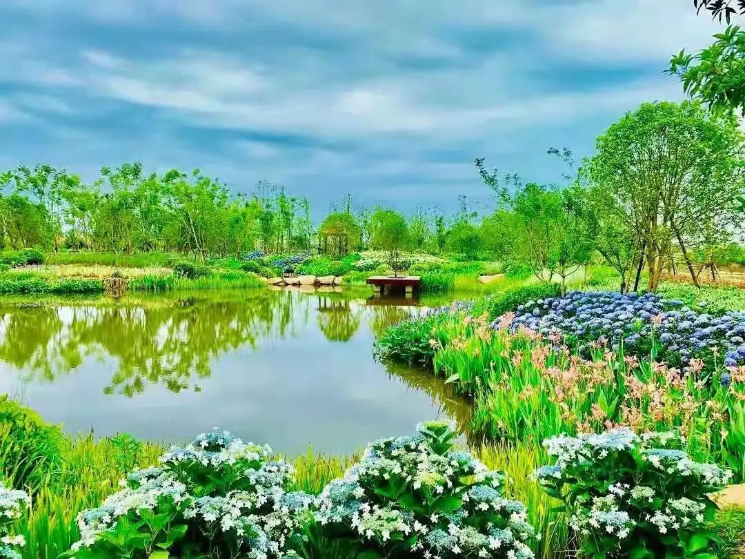 五一假期相约,五一相约一起嗨舞