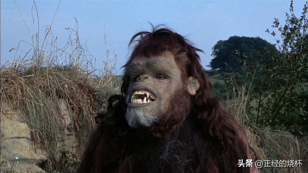 类人猿的身体特征有哪些,类人猿是什么动物