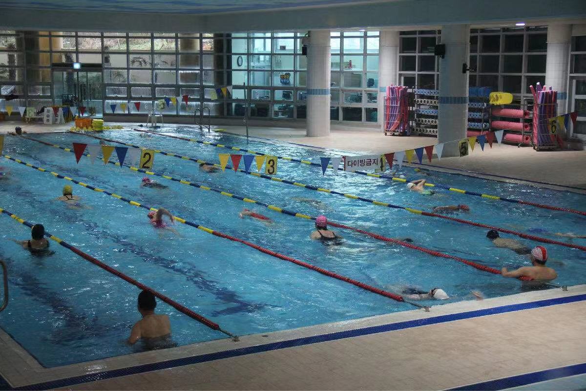 新手小白学游泳教程,新手学游泳先学什么泳姿