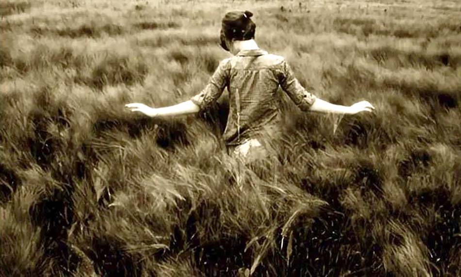 知青小说系列合集,知青小说系列