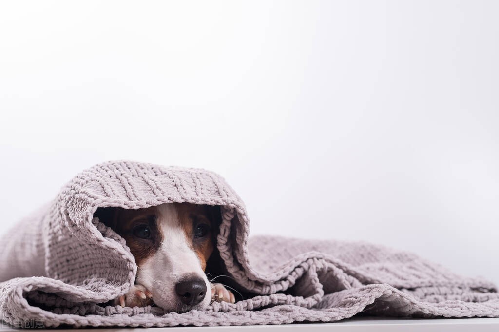 男士护肤品哪个牌子好相关推荐,男士护肤品哪个牌子好去皱纹