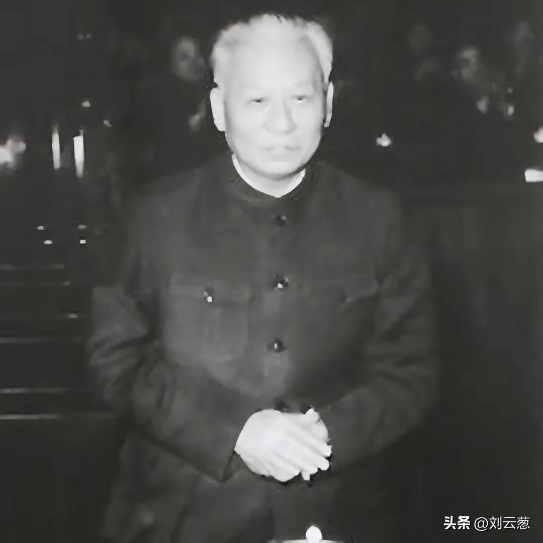 能力非凡,雄才伟略的*少奇刘**主席