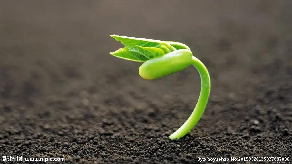 愿这个春天让你快乐满满,愿你这个秋冬温暖又漂亮