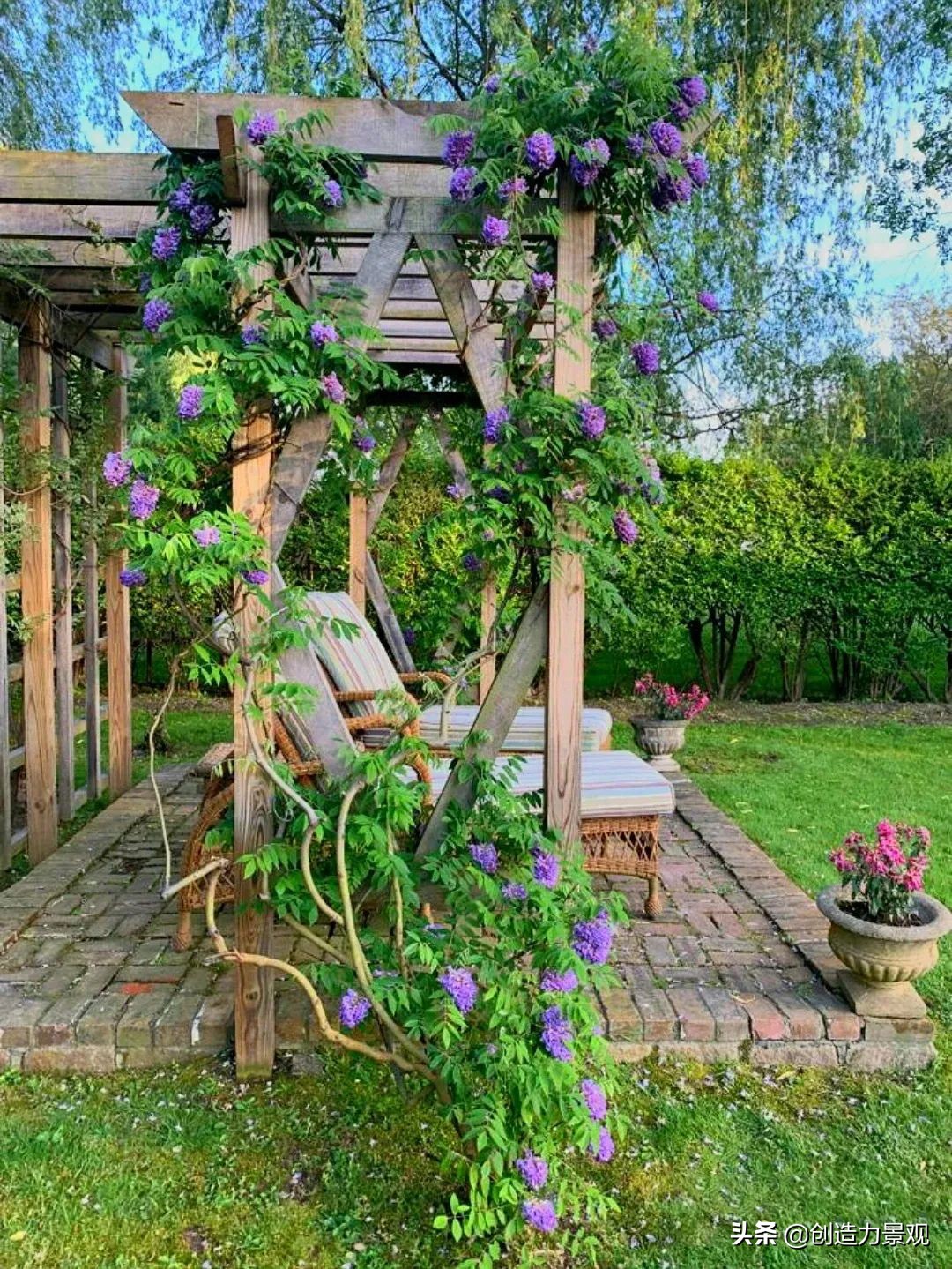 一花一草一世界原创花草,一花一草一世界花草之美