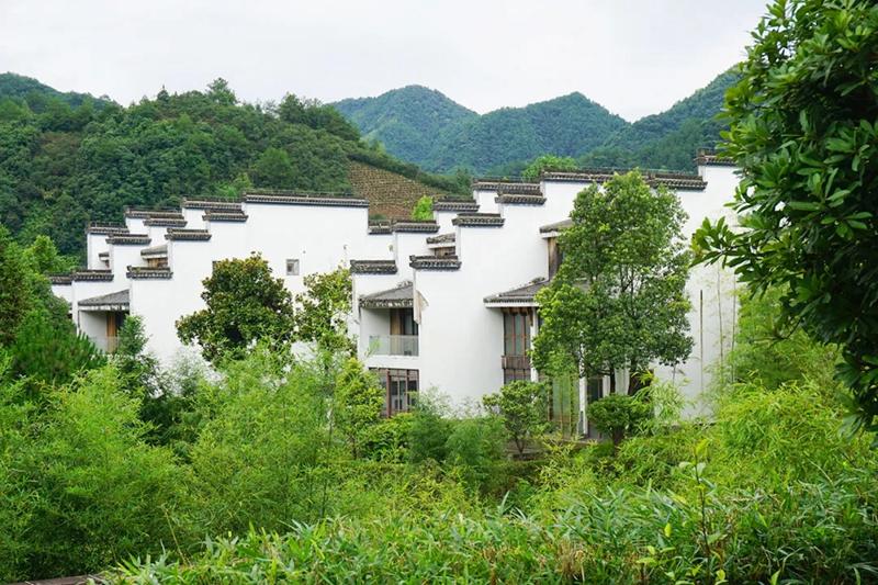 杭黄高铁到婺源,杭黄高铁黄山到杭州