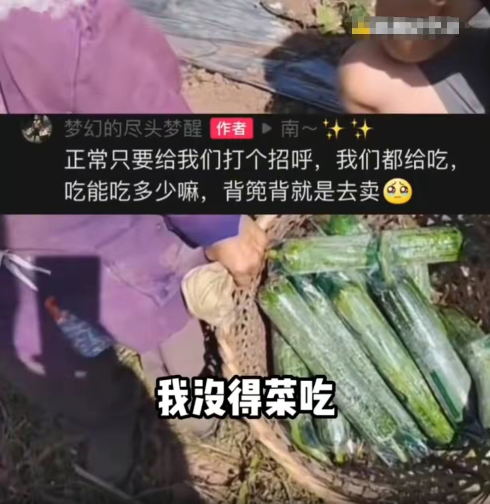 乡村吸引年轻人回村创业办法,年轻人回农村创业需要什么条件