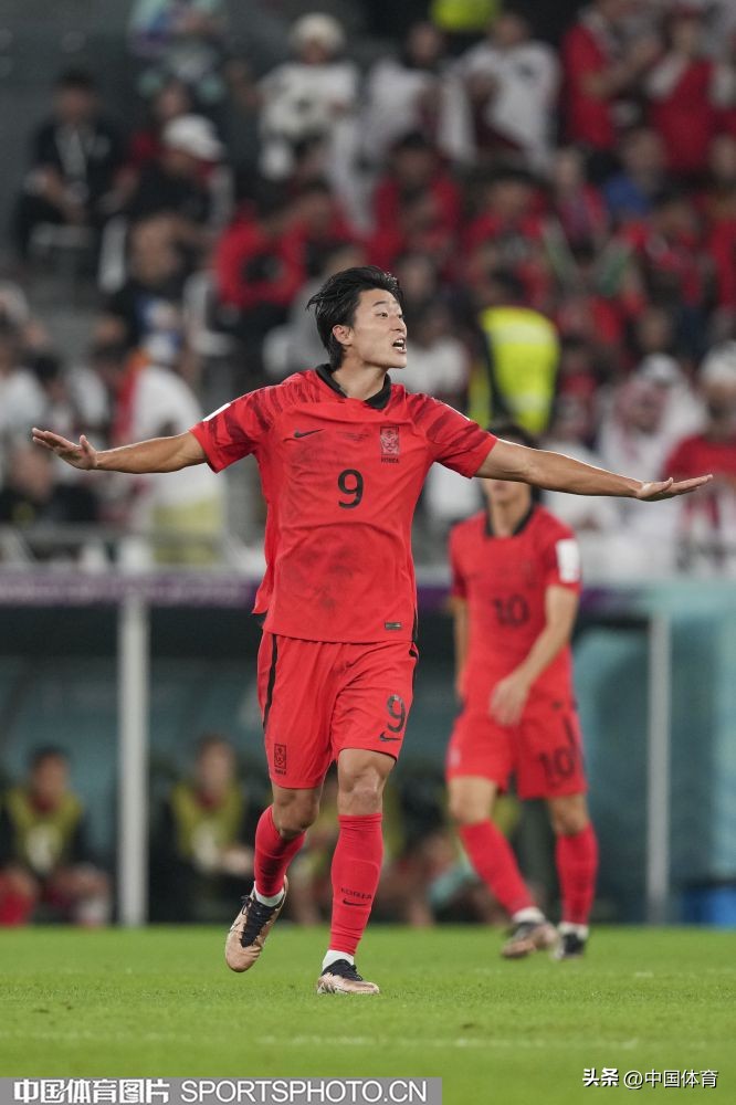 2022卡塔尔世界杯小组赛h组赛况,韩国葡萄牙卡塔尔