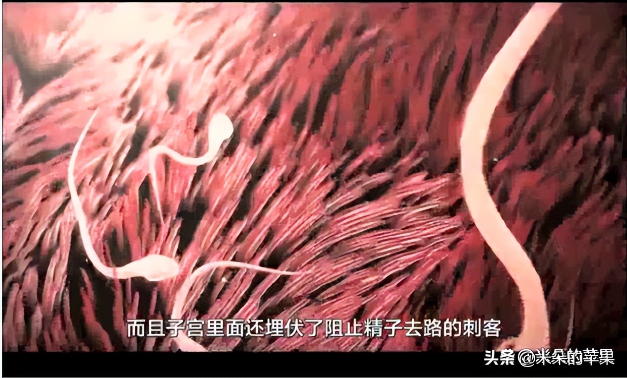 如果你不知道怎么对孩子进行性教育,一定要带他看这7个教育视频