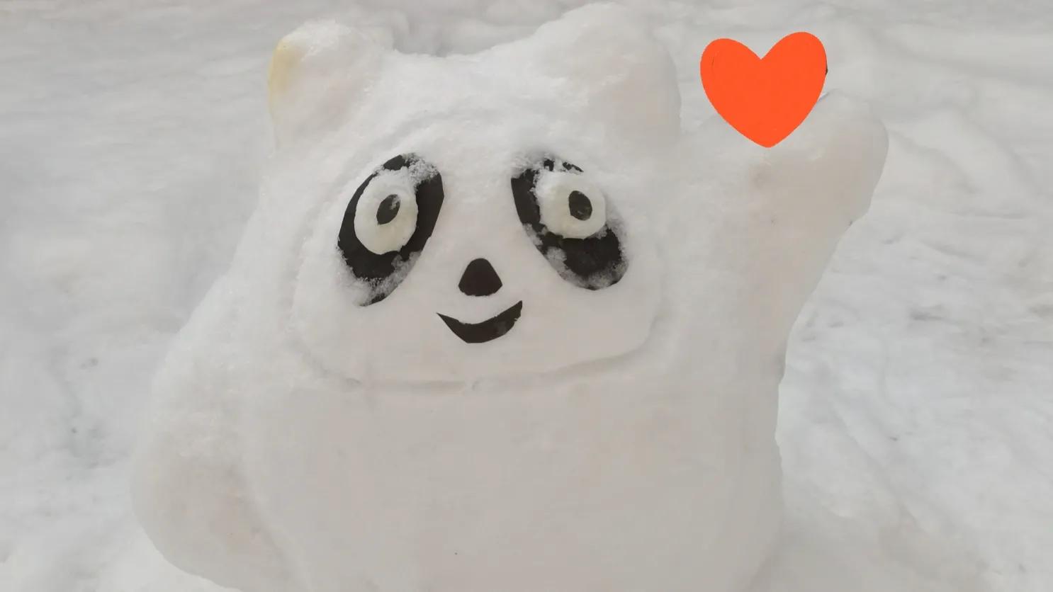 *园春沁**•虎年初雪