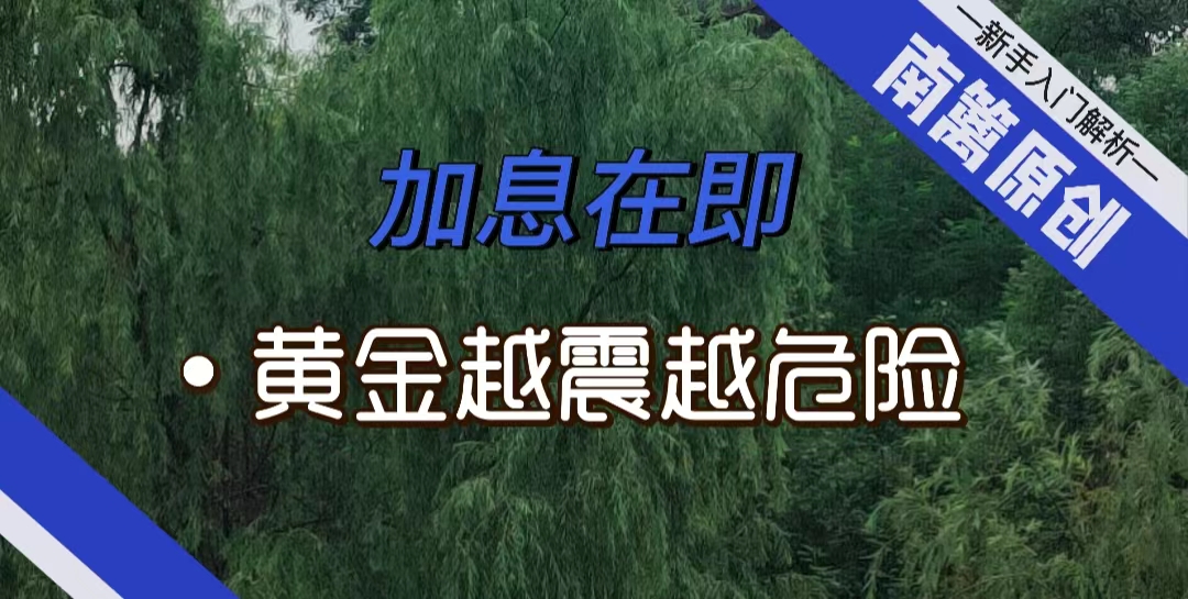 【南篱/黄金】黄金越沉迷震荡越危险