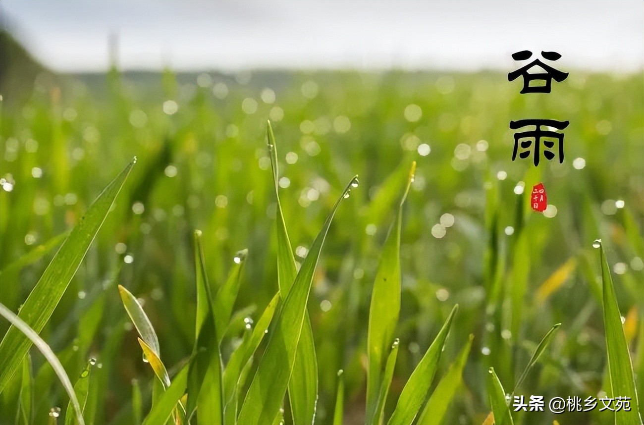 「诗歌」焦方海：谷雨（外一首）