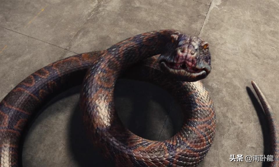 巨蛇闯女校电影剪辑,巨蛇闯女校电影在线播放