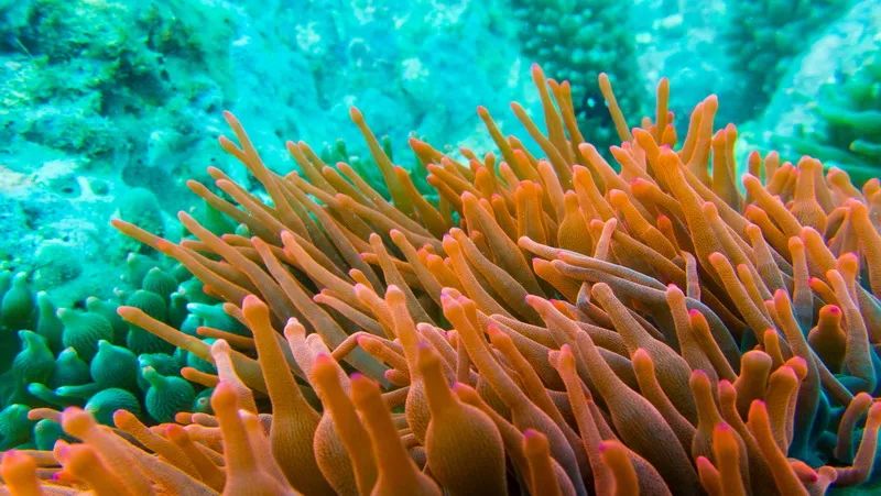 棣栧眾浼朵粌娲嬫澂鍏ㄥ浗鎽勫奖澶у睍,鍠滆繋浜屽崄澶ф憚褰卞睍寰侀泦