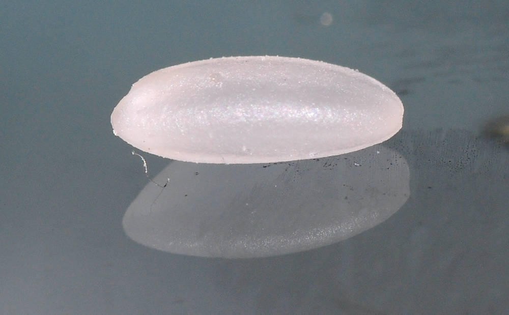 成袋的大米怎样预防生虫,大型粮仓怎么防止大米生虫