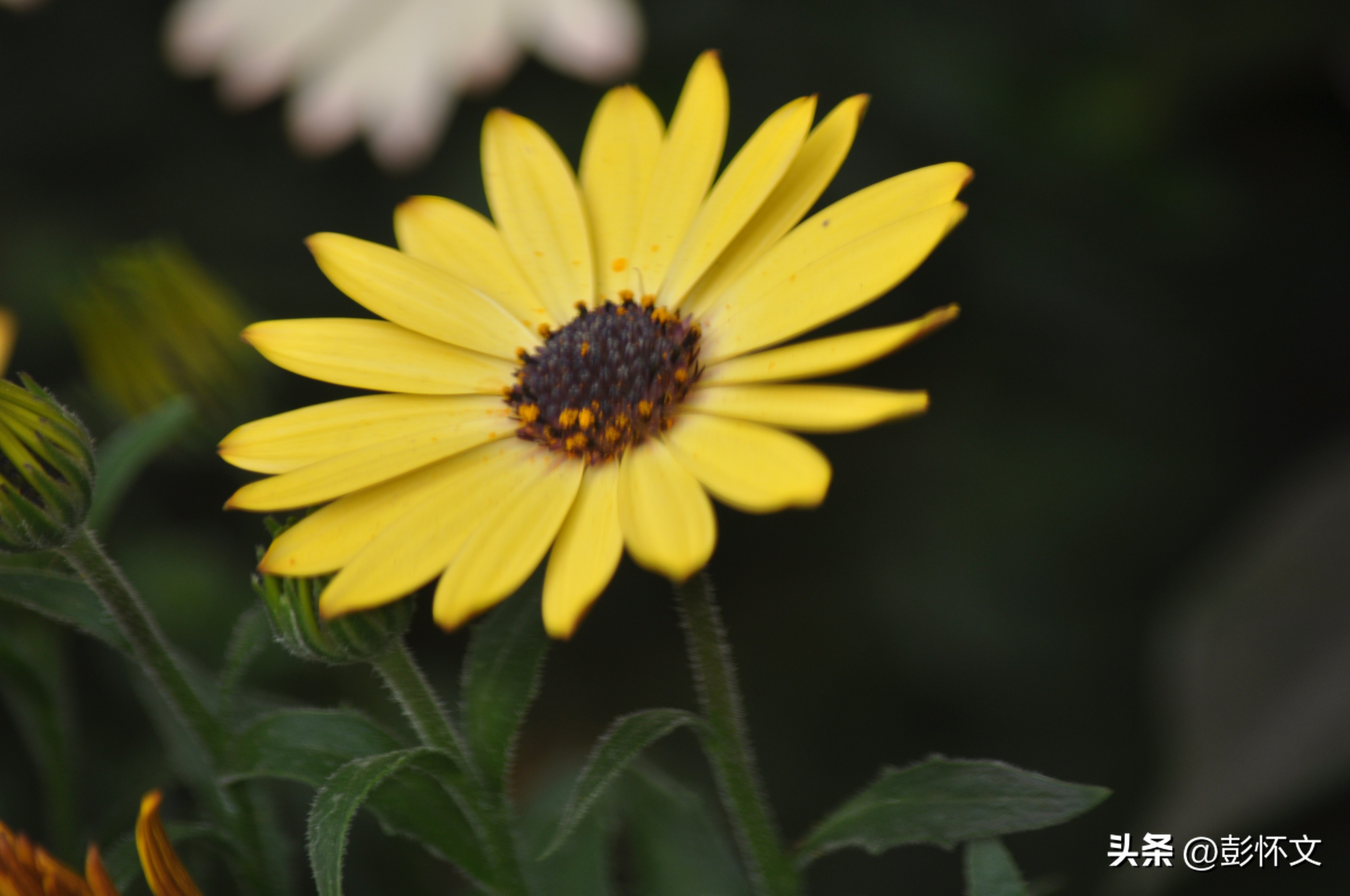 财税问题解答9则,常见的财税问题和解答问题