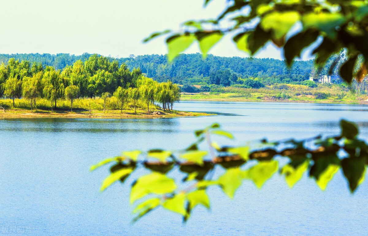 2020年南阳市工程招标项目有哪些,南阳市第四批重点建设项目