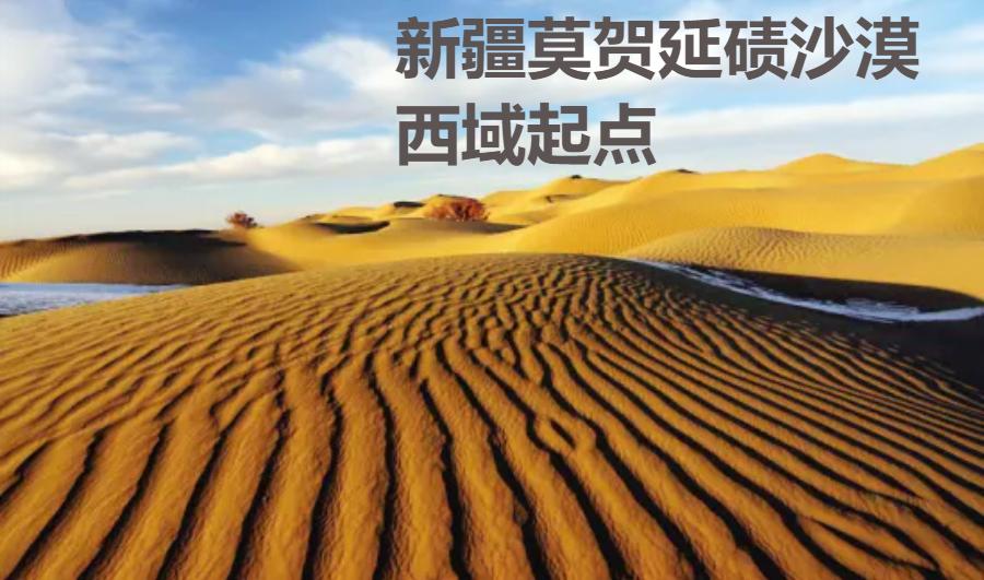 西游记中孙悟空适合当哪一种老师,唐僧师徒四人选一个孙悟空