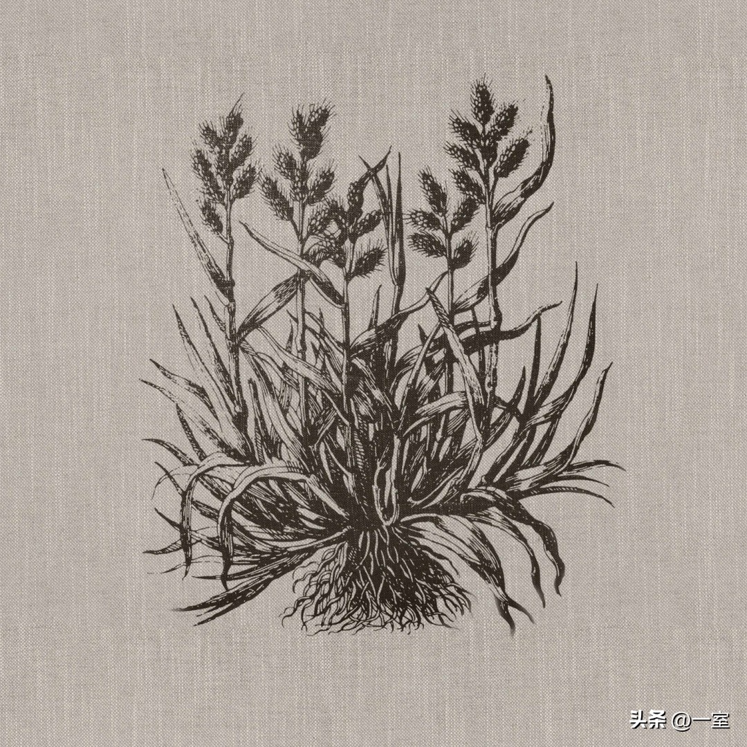 设计界最顶级的免费贴图素材库,3d材质贴图免费素材库