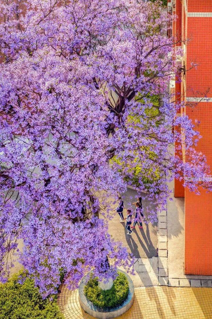 喜欢在这座江南城市里生活,非常喜欢这座自带浪漫的美丽城市