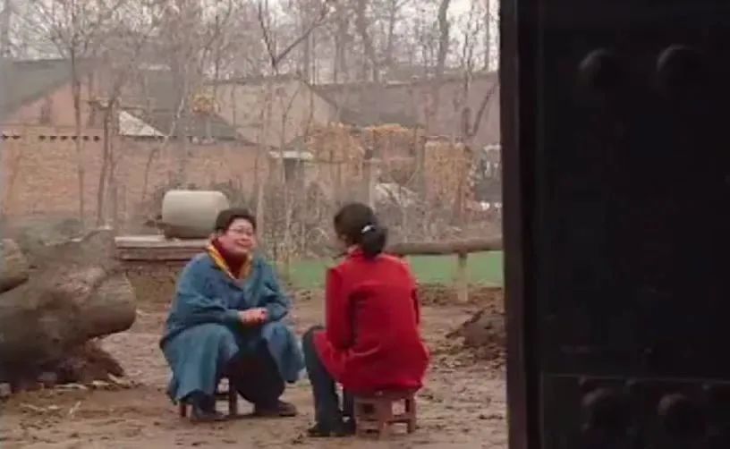 二十年前的女性,20年前的女生