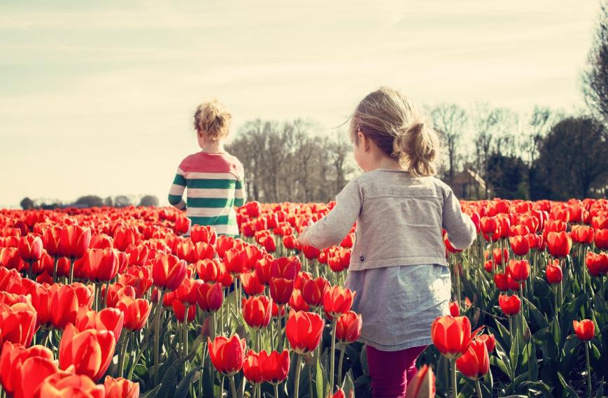和妈妈闹矛盾处处针对自己怎么办,跟妈妈吵架了不想理她怎么办
