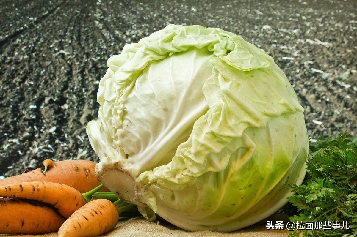 买包菜哪种最好,包菜挑结实好还是松散好