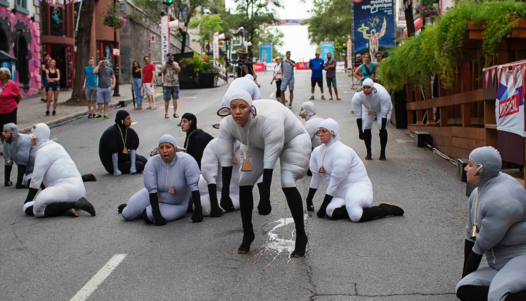 加拿大舞团harry,加拿大舞团模仿羊