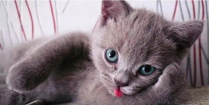 广告行业销售技巧营销思维,广告推销好做不