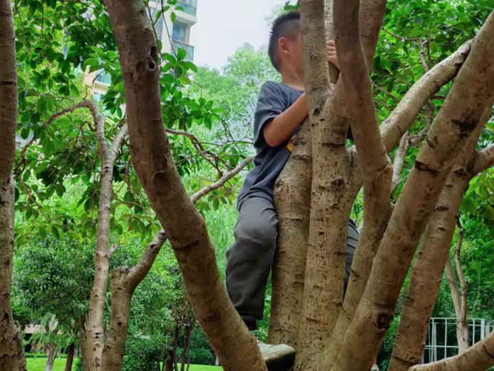 幼儿园大班怎样开展跳绳活动,大班孩子抗拒上幼儿园怎么办