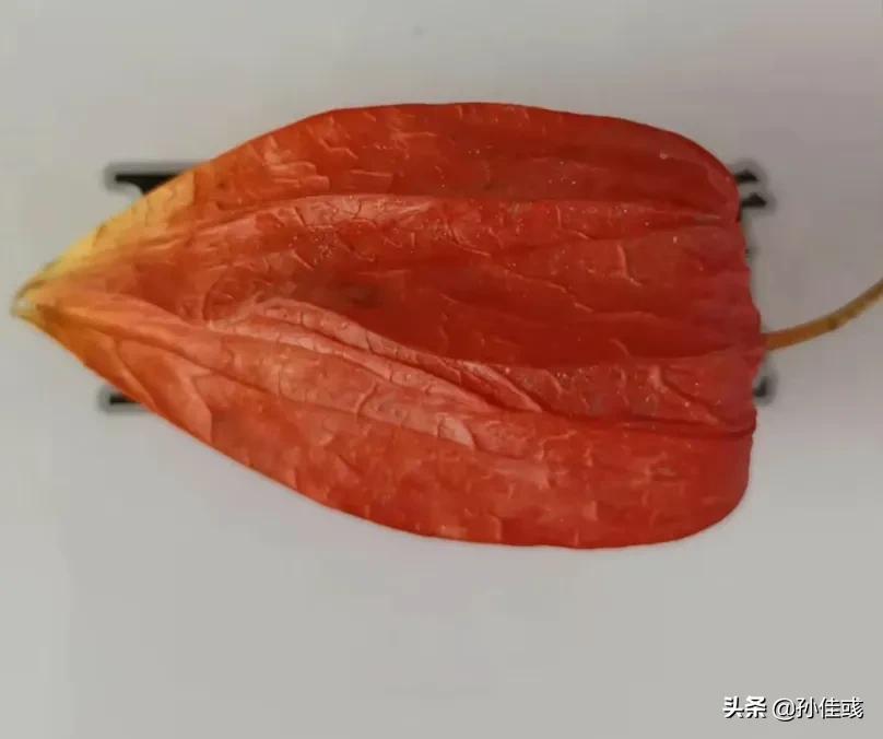 励志创业创作灵感,文学青年怎么创业