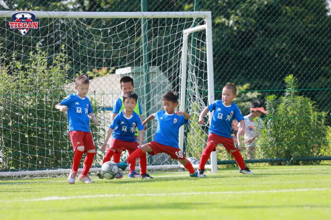 校队风采,校师团队风采