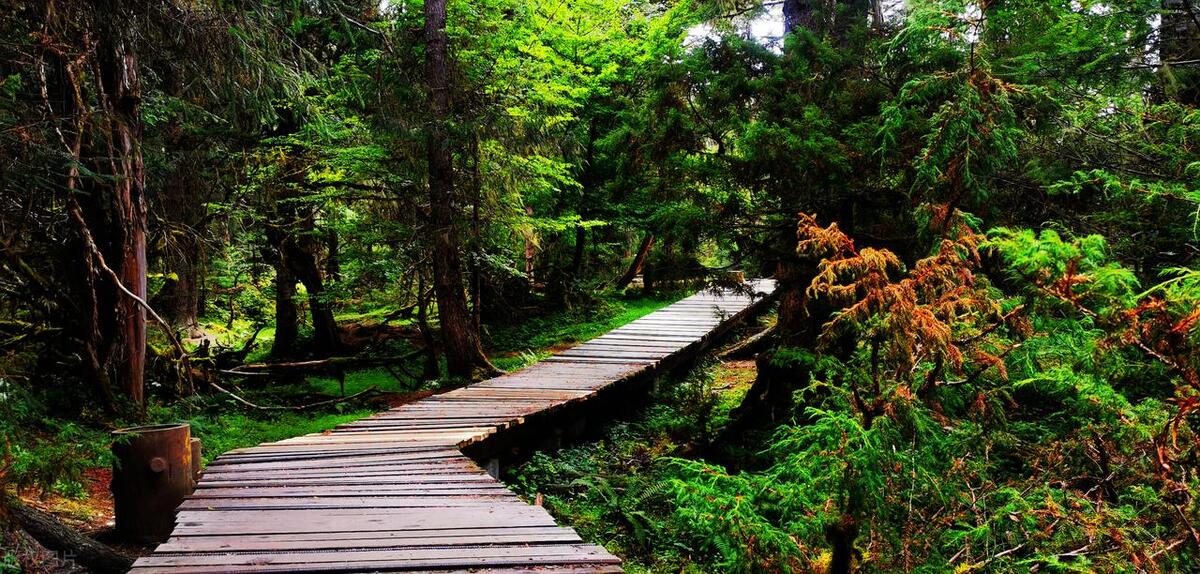 林芝藏南地区地图,藏南林芝风光