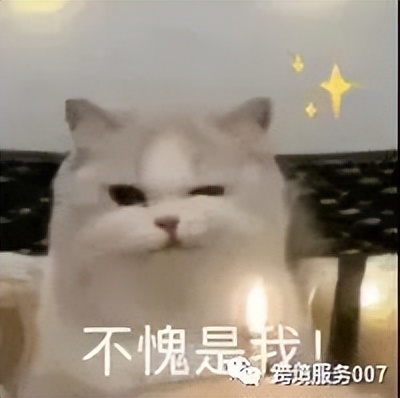 亚马逊新动作！新增流量入口，助你销量翻倍