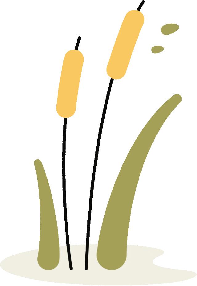 2023年是第几届中国农民丰收节,中国农民丰收节活动开幕