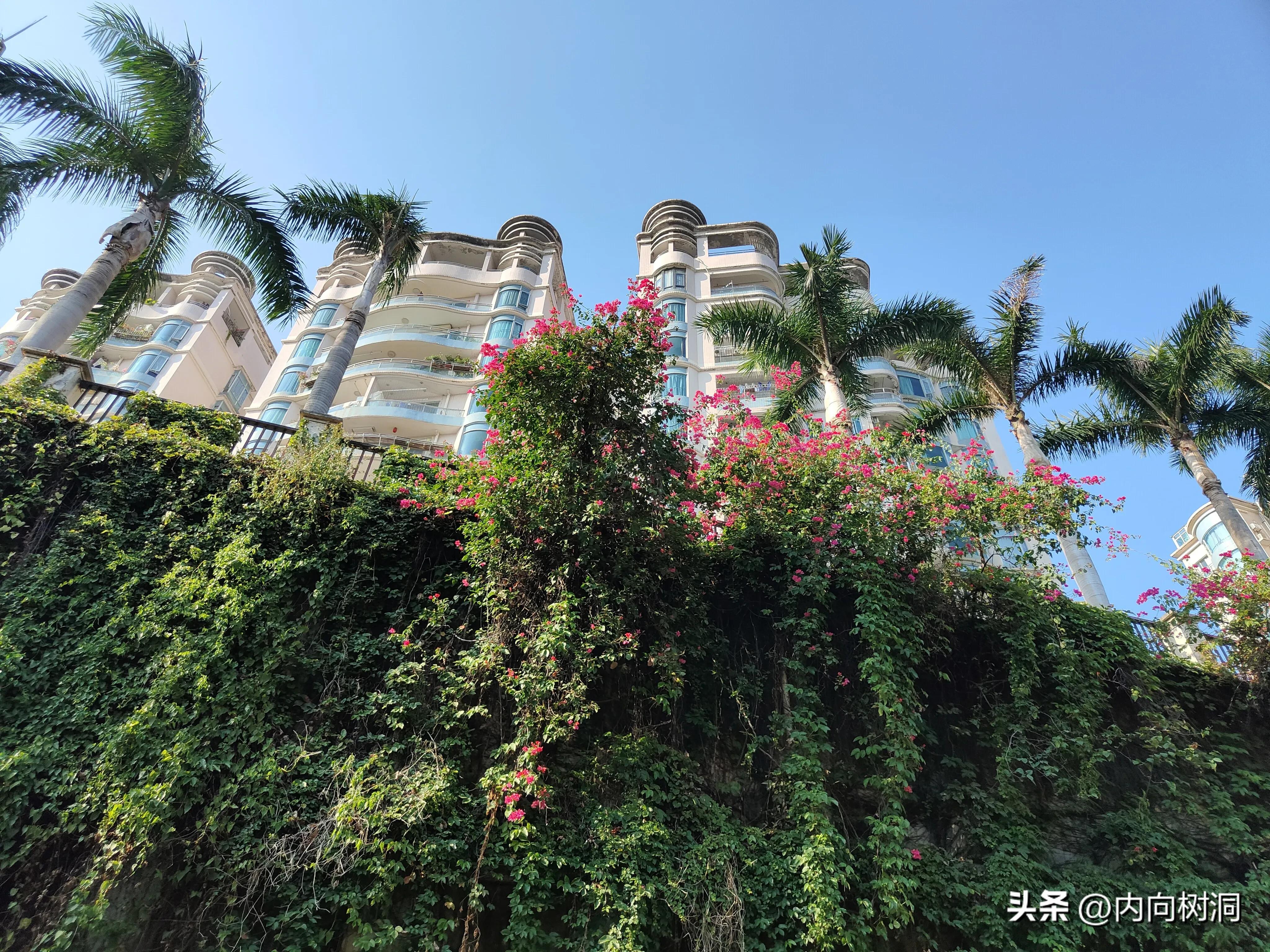 淘金山求水山徒步线路,求水山淘金山绿道在哪里