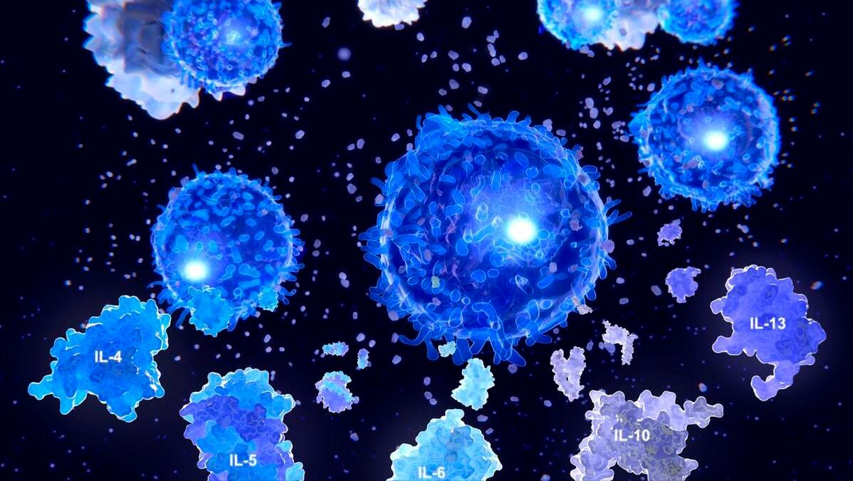 人体缺乏蛋白质需要哪些食物,人体缺少蛋白质吃哪些食物