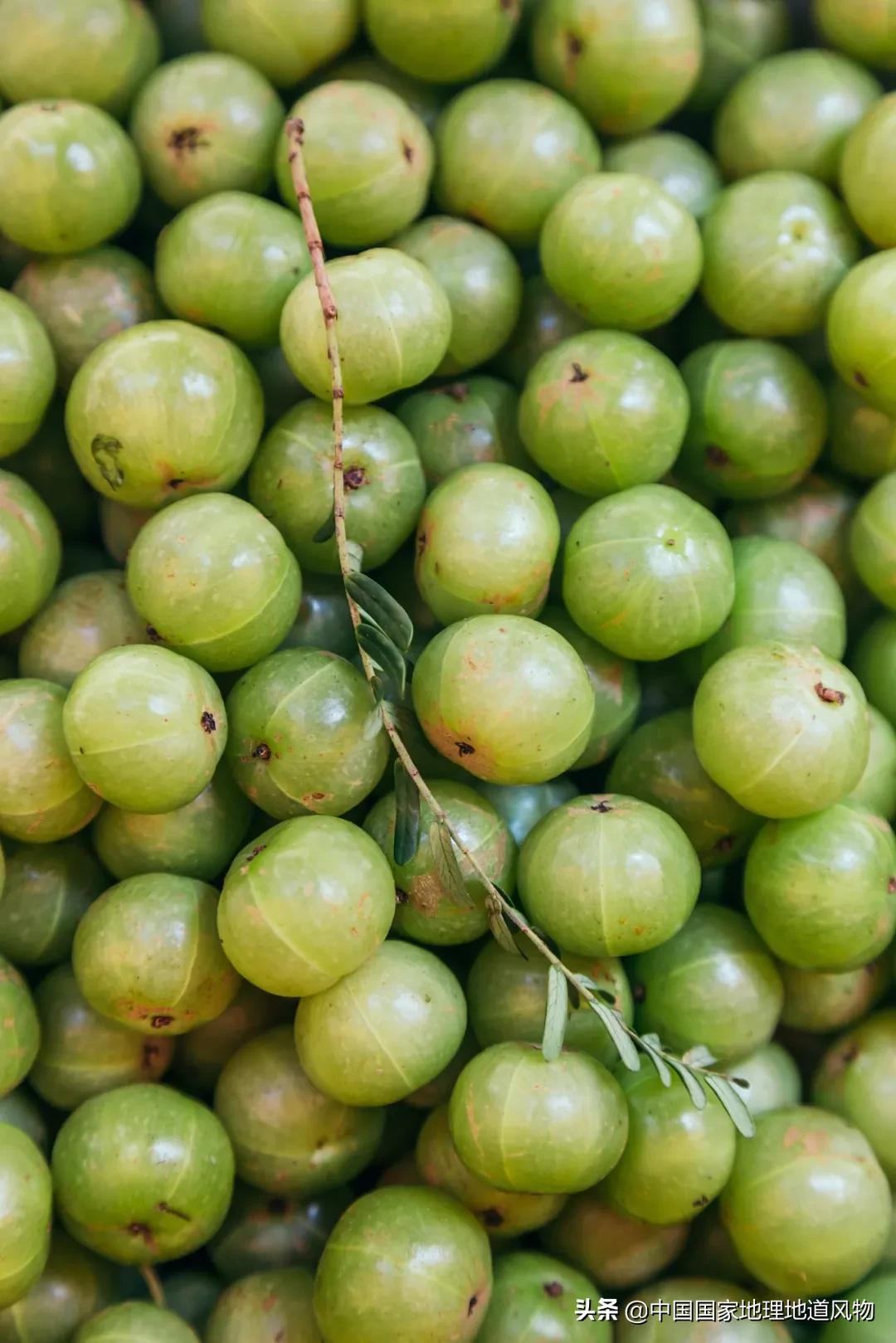 广西水果产量连续五年全国第一,广西和陕西谁才是水果第一大省