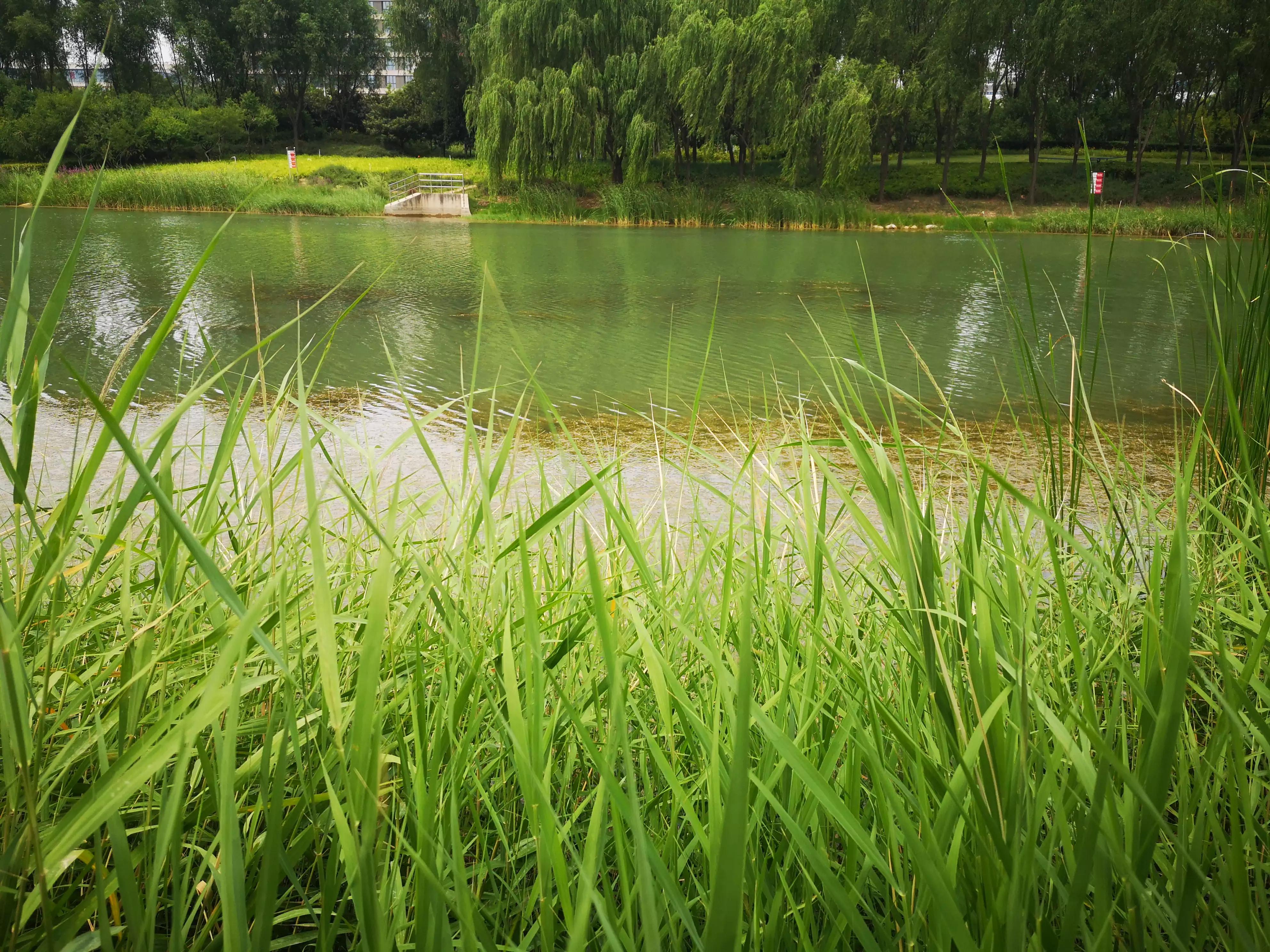 自传小说：职级并行飞走记321回一辈子不爱沾外人光的老教师