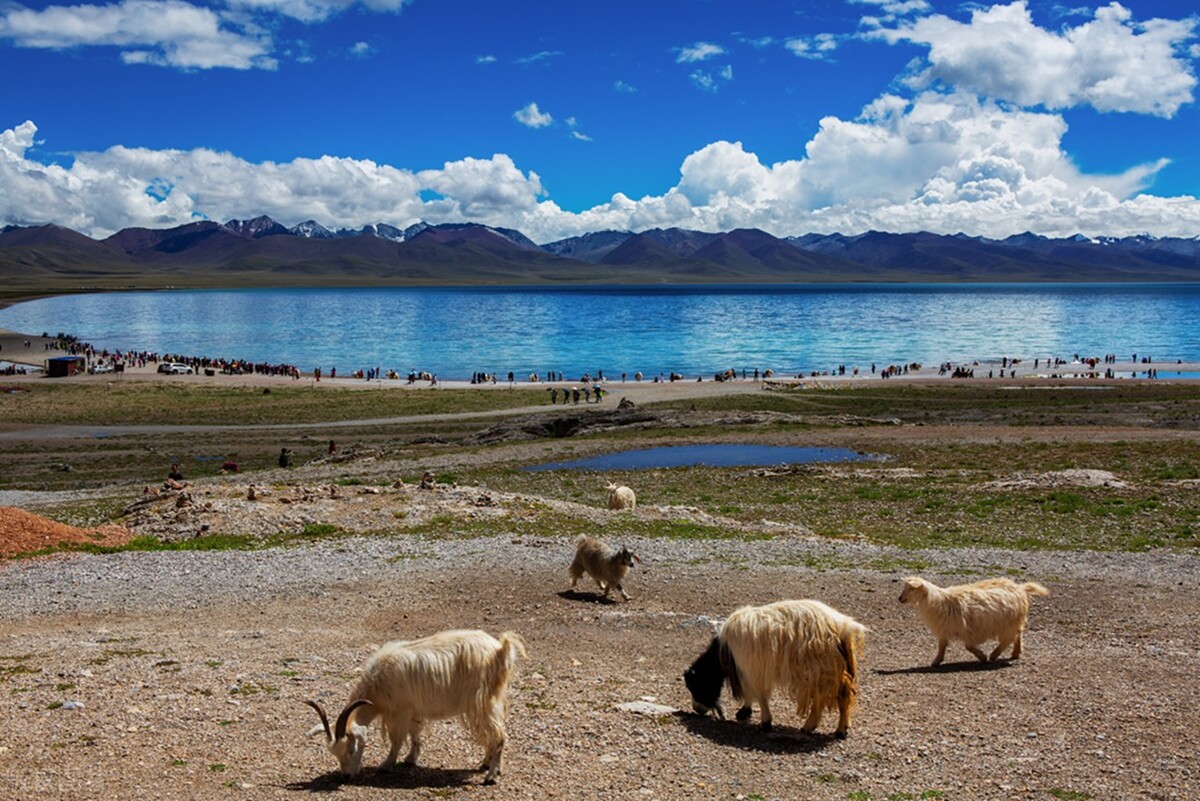 西藏和西北旅游攻略路线一样吗,藏西旅游