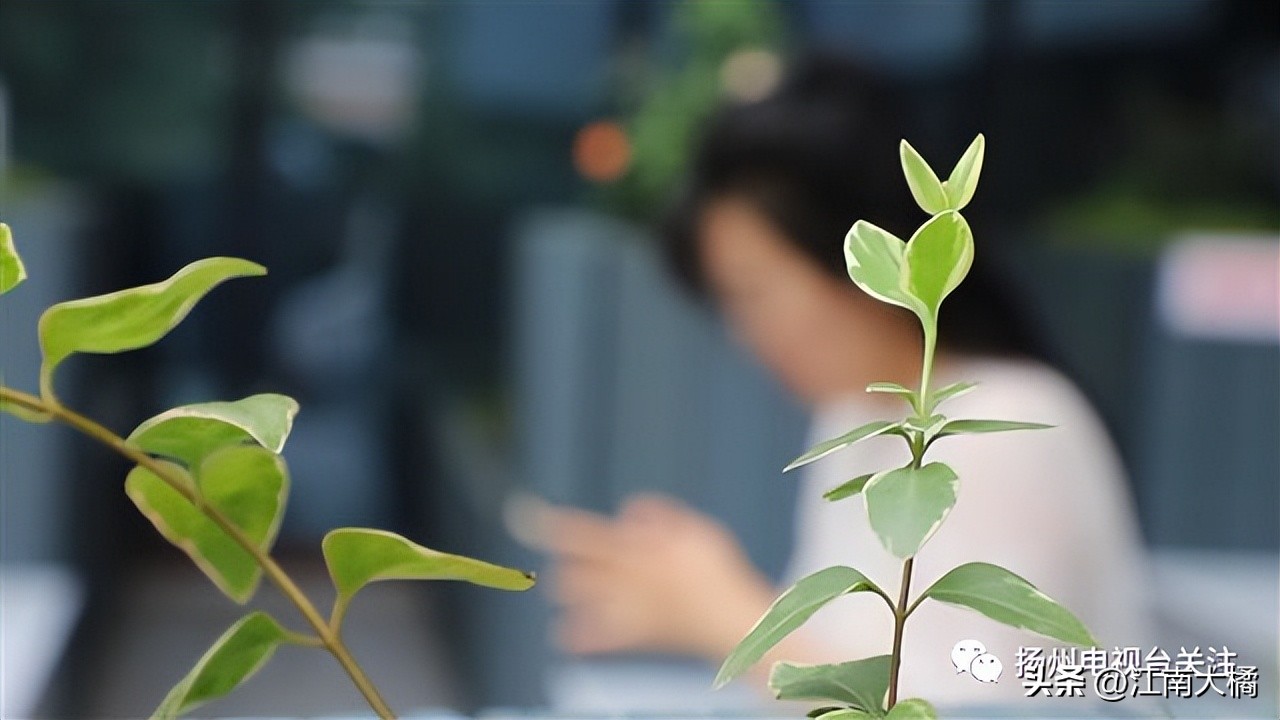 自考“*过包**”靠“黑科技”？这群人栽了