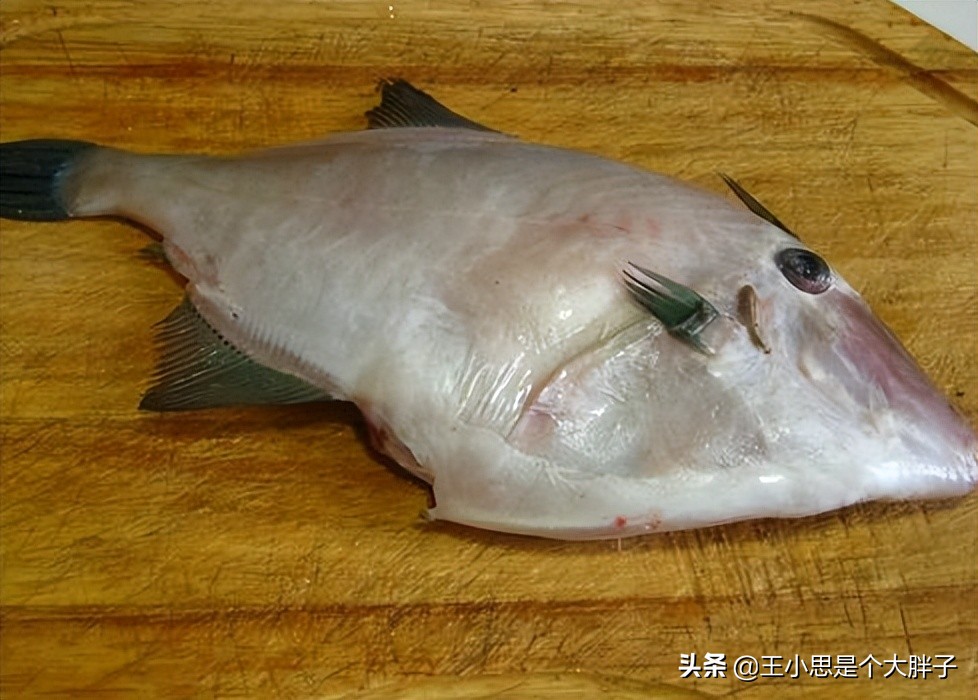 六种野生鱼不能人工养殖,市场上这6种鱼放心购买