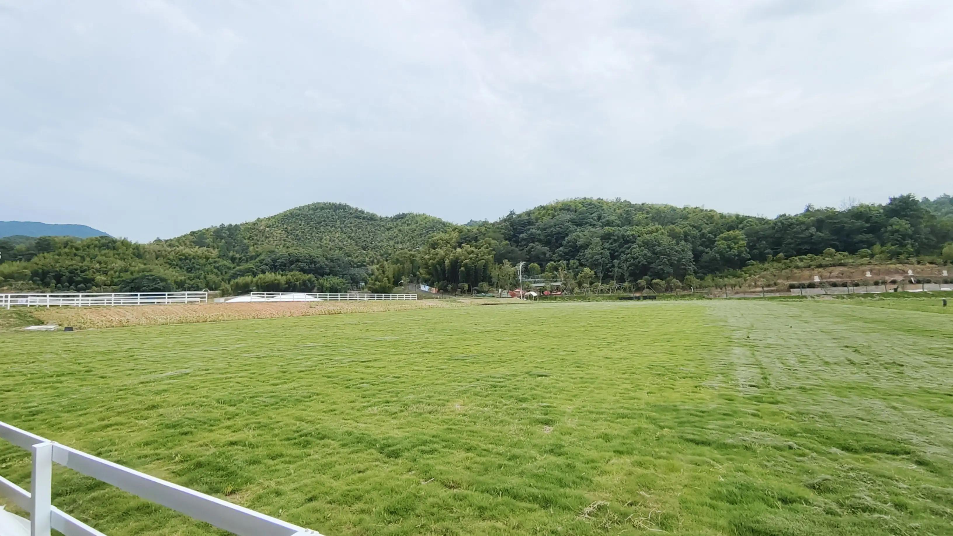 零跑的电话解锁解除了我的燃眉之急