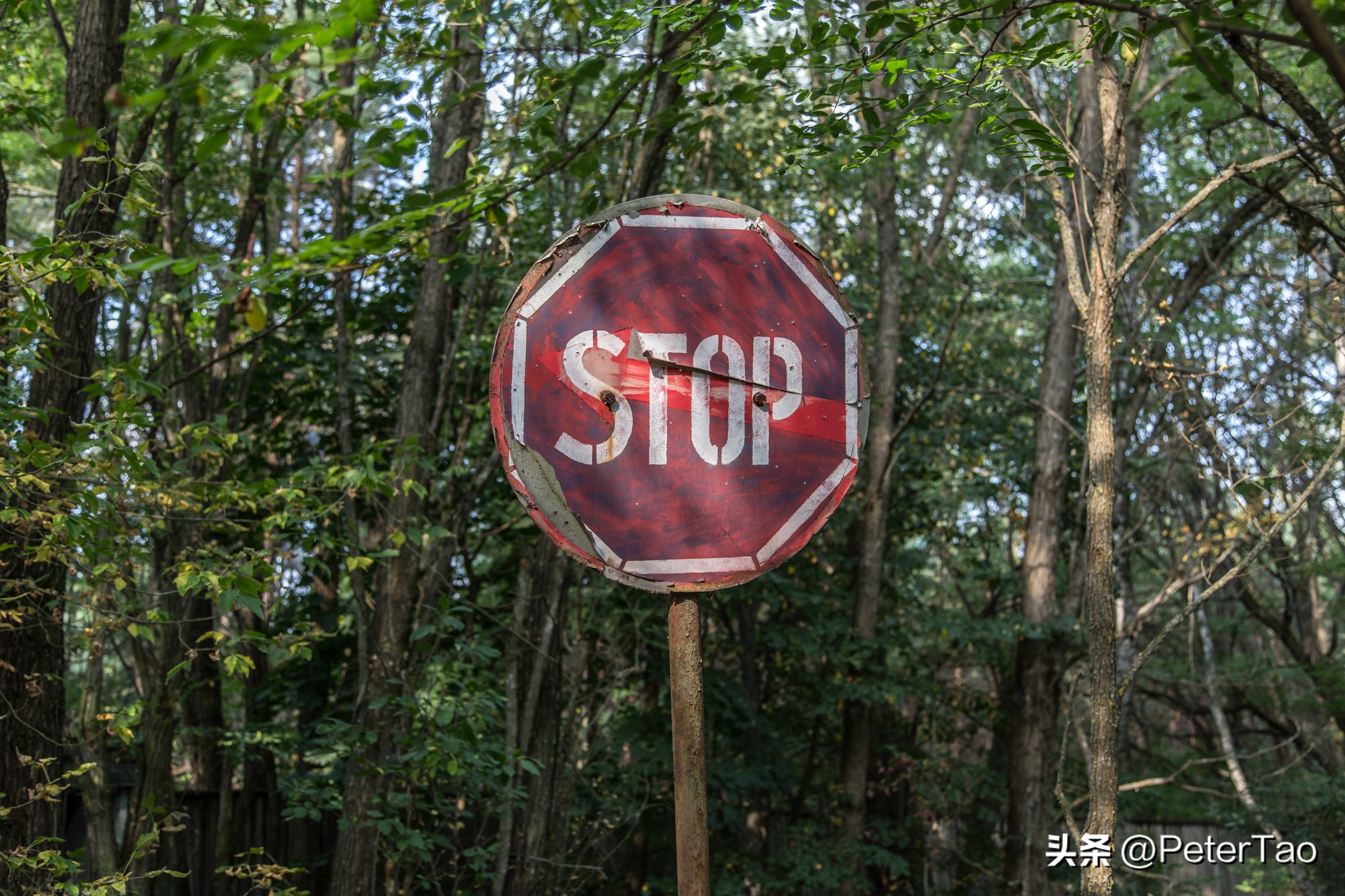 如何清除chrome浏览器保存的密码,chrome浏览器中保存的密码