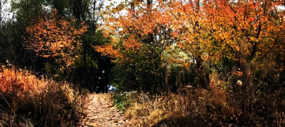 轩逸悦享款驾驶体验,轩逸悦享驾驶感受