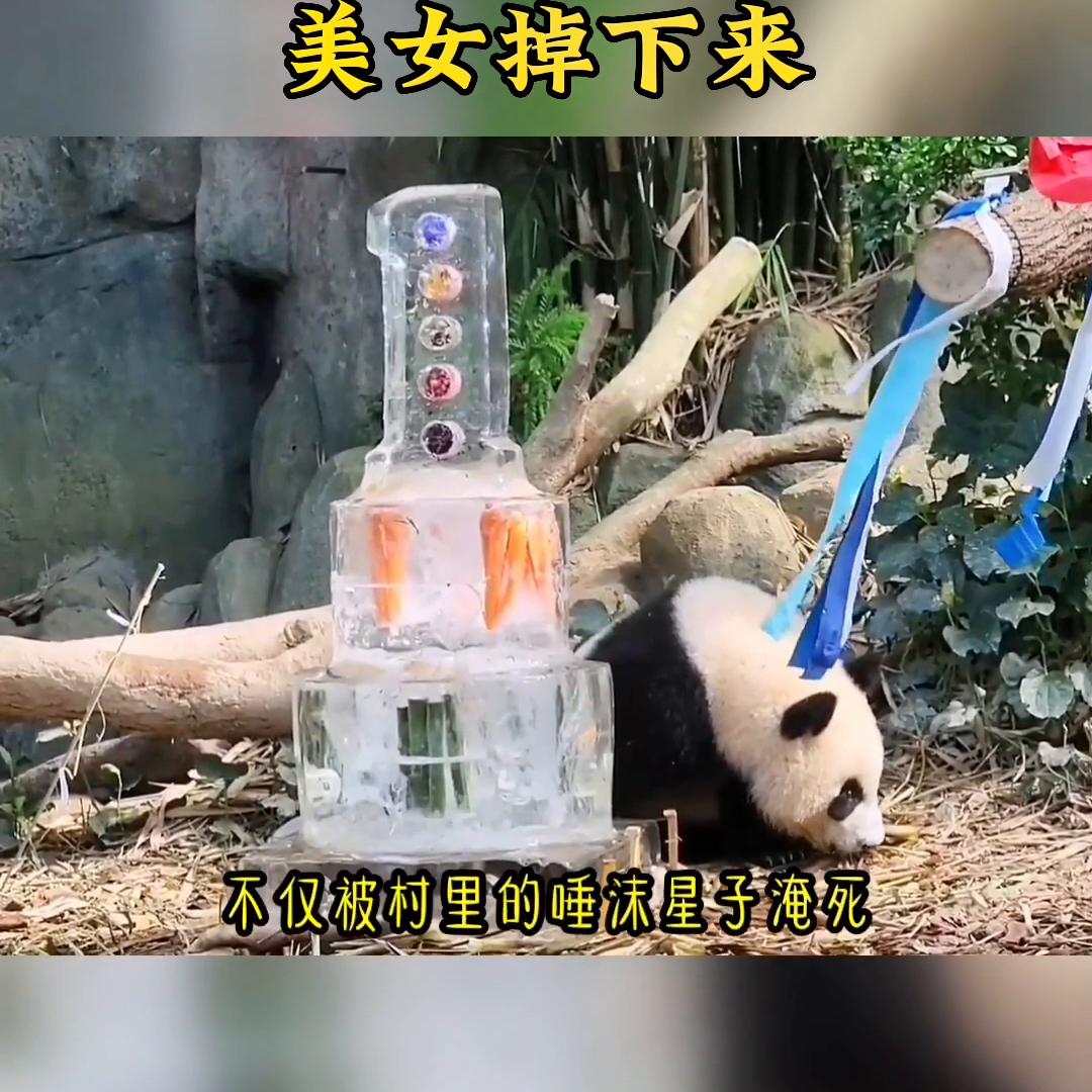 女主一觉醒来长出了猫耳朵和尾巴,美女掉下来摔在车顶后续