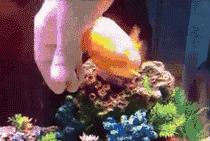 下雪天摔跤容易摔倒哪,下雪地上好滑大家注意安全