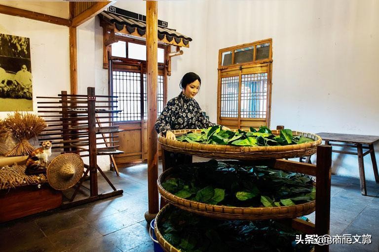 苏州最好玩的旅游景点,苏州最好玩的地方旅游景点