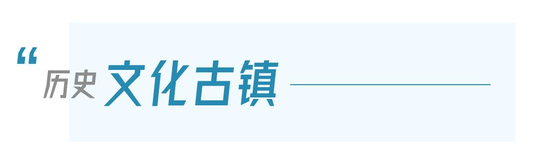 鄂州市泽林镇最新消息,鄂城区泽林镇泽林街